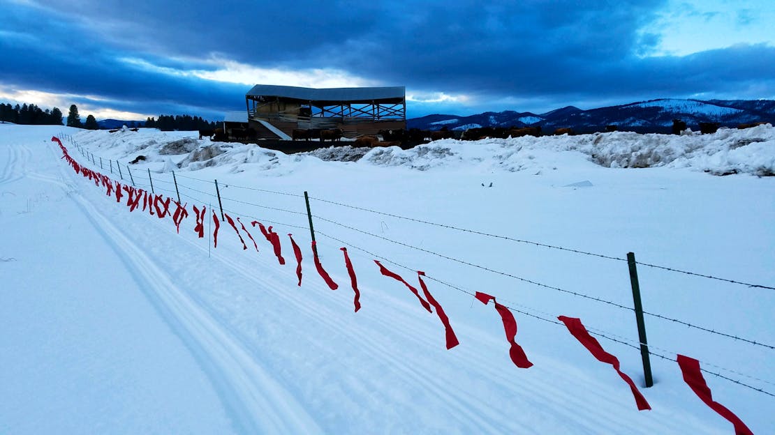 2020.02.27 - Turbo Fladry Project - Blackfoot Valley - Montana - 2020.02.27 - Turbo Fladry Project - Blackfoot Valley - Montana - Russell Talmo - DOW