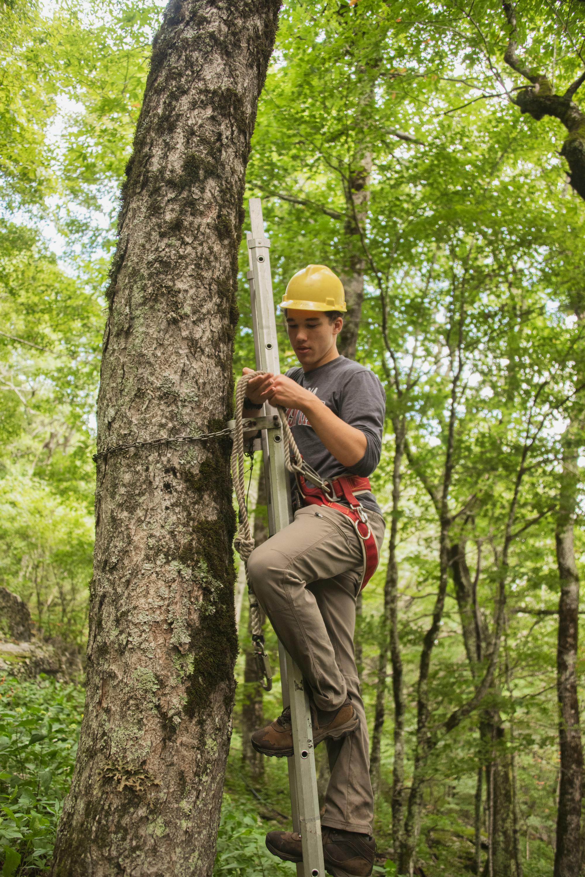 2023.09.14 - SE - Northern Saw-Whet Owl Box Project - Colin on ladder at Grandfather Mountain State Park - Erin Fowler, Scraps of Lace Photography