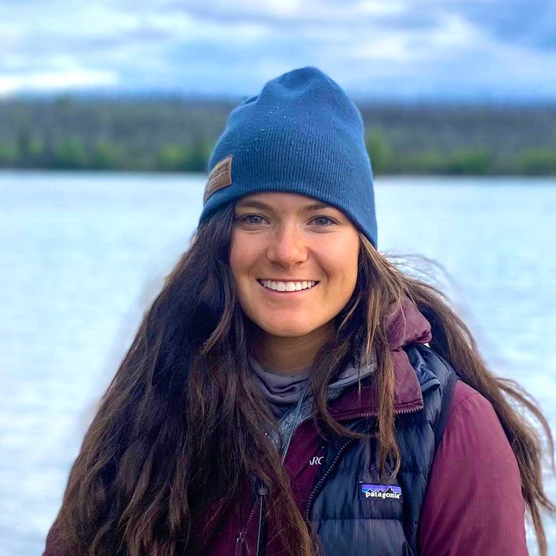 A Changing Arctic and Polar Bear Habitat | Defenders of Wildlife