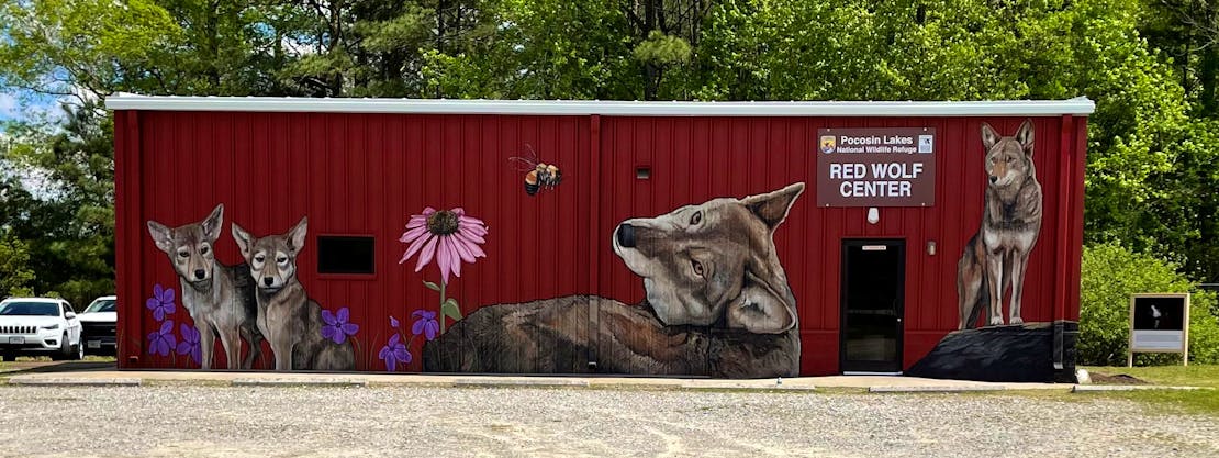 red_wolf_center_mural_ USFWS