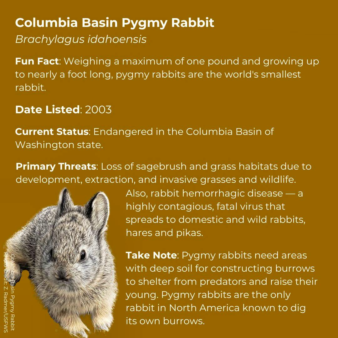 Let the Countdown Begin: 50 days, featuring 50 species, for the 50th ...