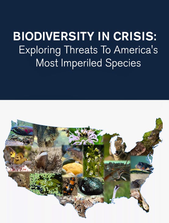 Biodiversity in Crisis report cover