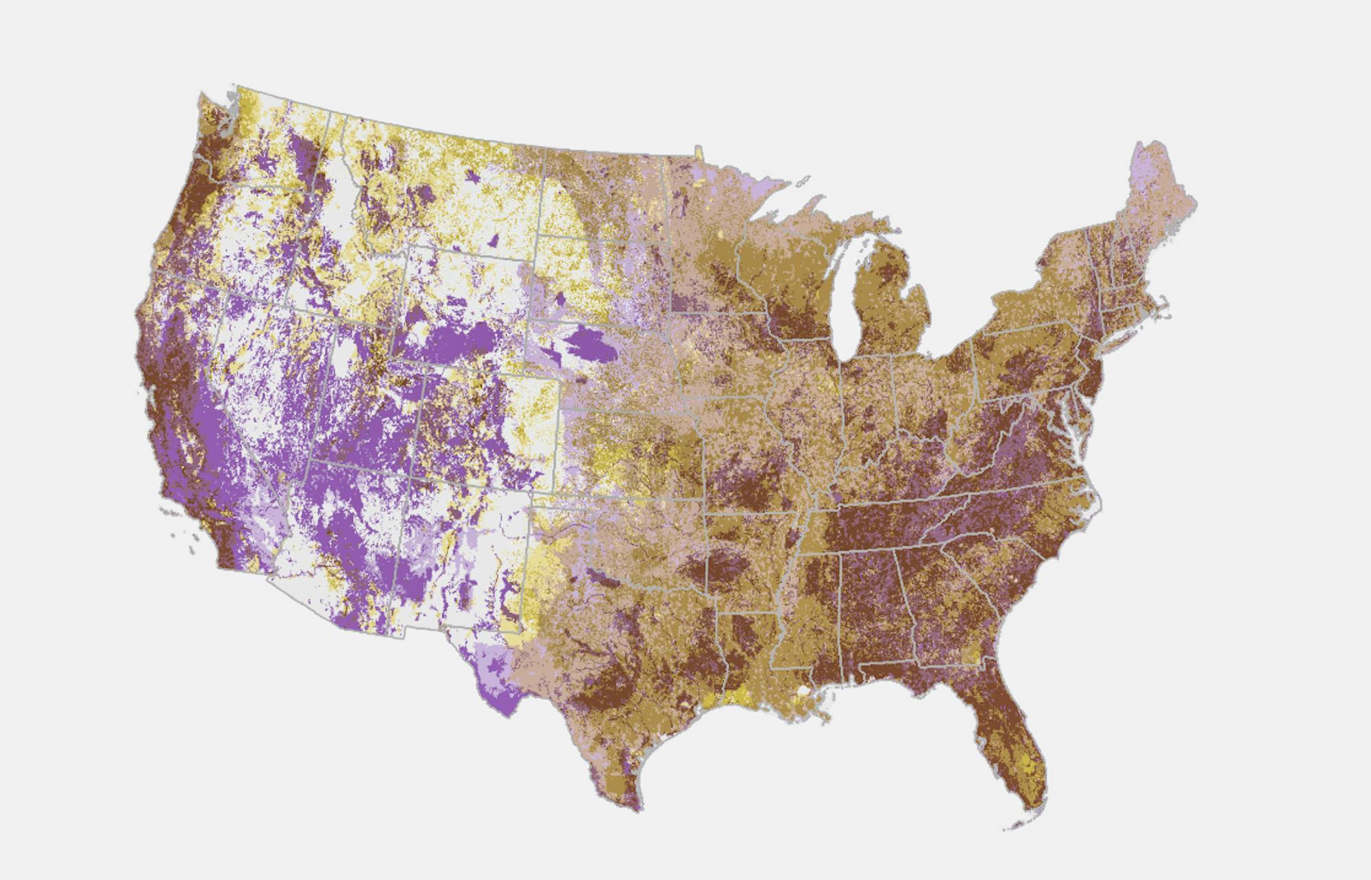 Biodiversity Hotspots Map