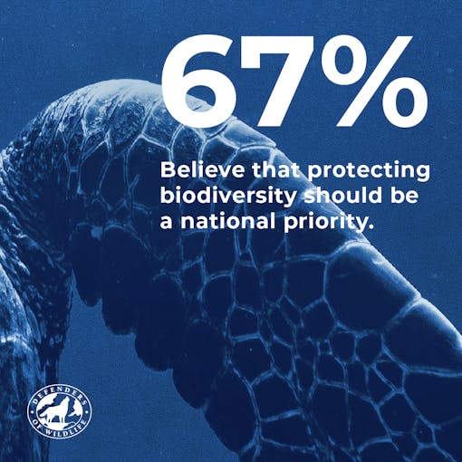 67% believe that protecting biodiveristy should be a national priority