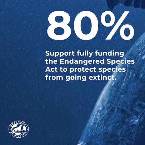 80% support fully funding the Endangered Species Act to protect species from going extinct