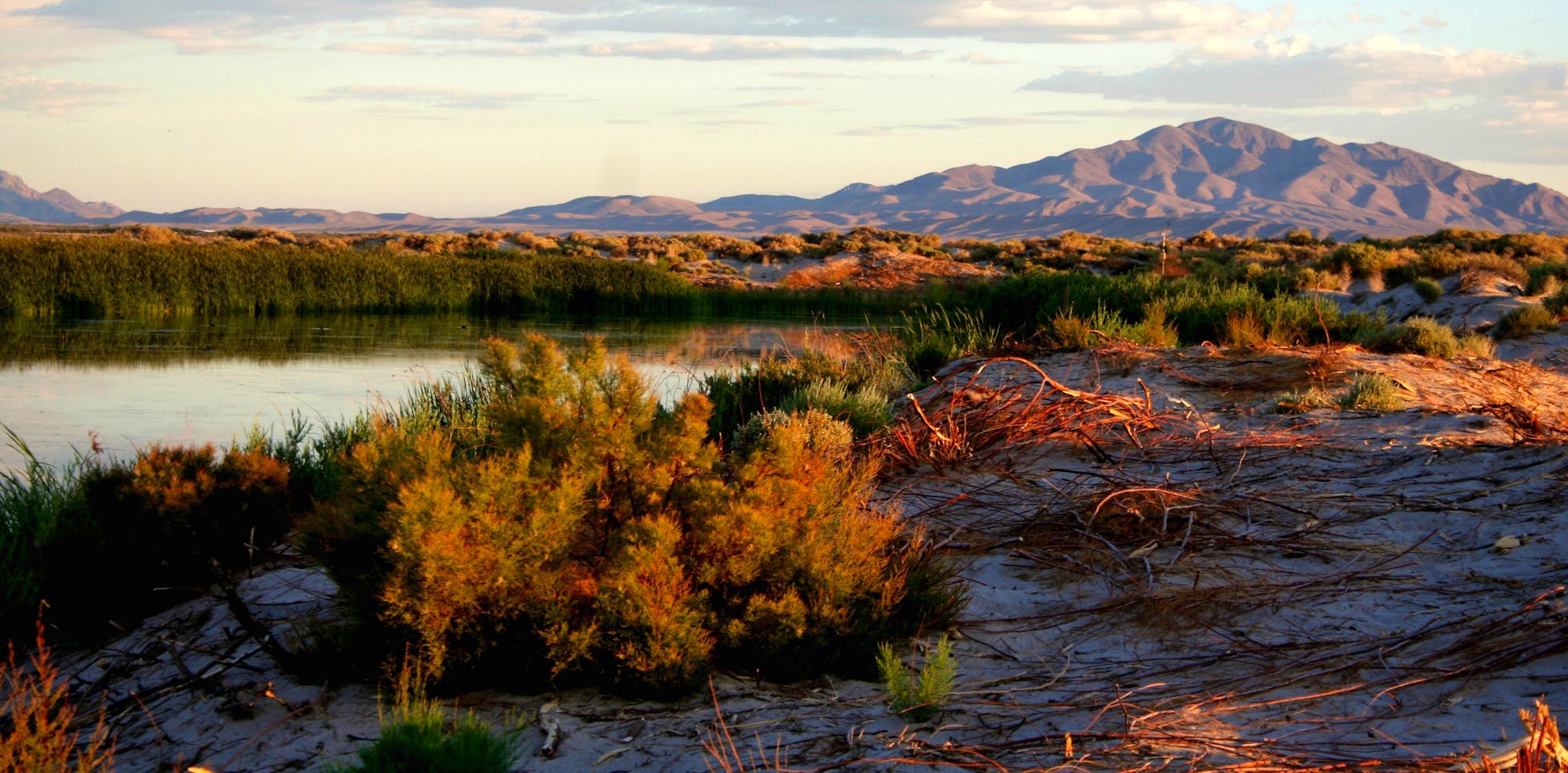 2009.09.19_Ash Meadows National Wildlife Refuge_Nevada_Cyndi Souza-USFWS
