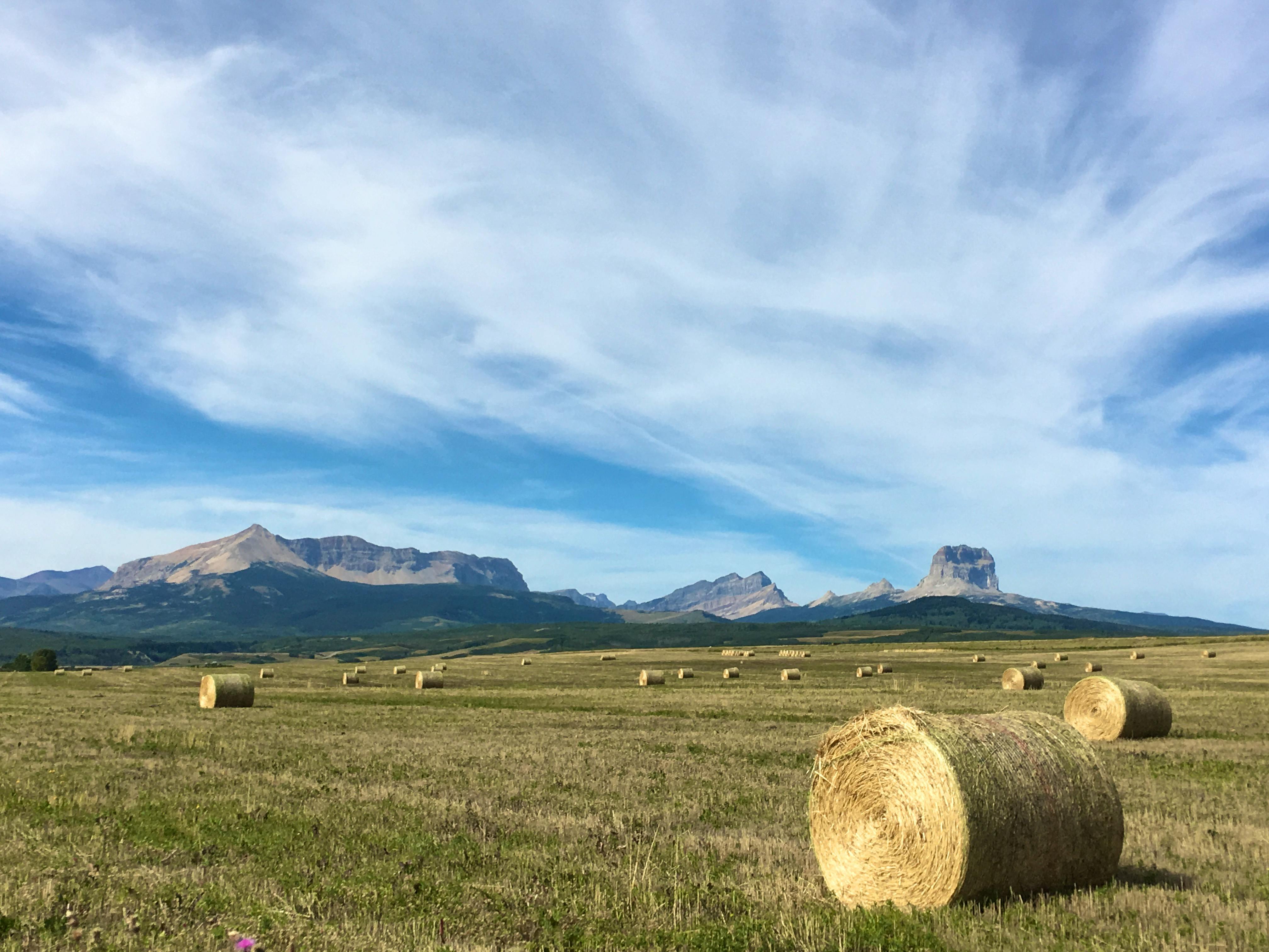 Blackfeet Nation Birch Creek - hay bails in foreground