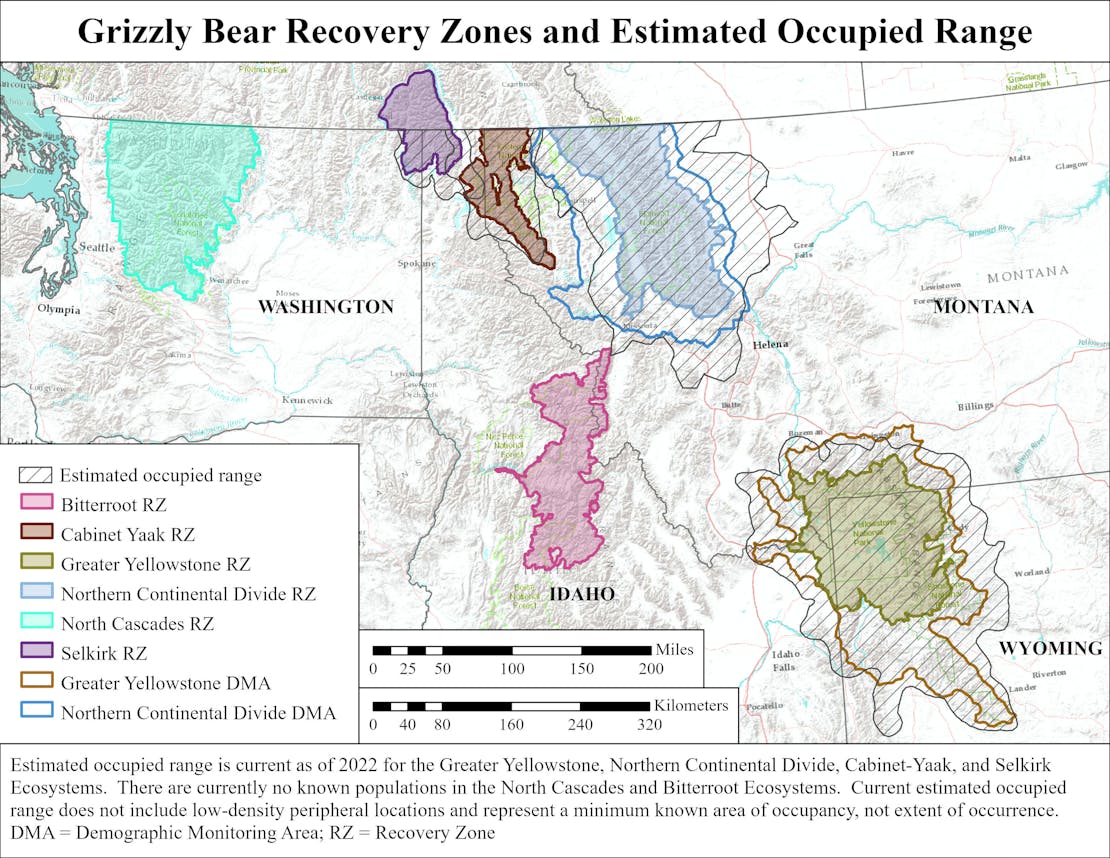 A map of the Northern Rockies (Montana, Idaho and a corner of Wyoming) and Washington state. Overlaid on the map is areas where grizzlies occupy.