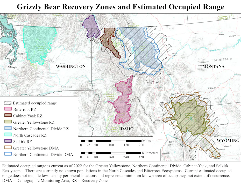 What’s Happening with Northwest Grizzly Bears in 2024 | Defenders of ...