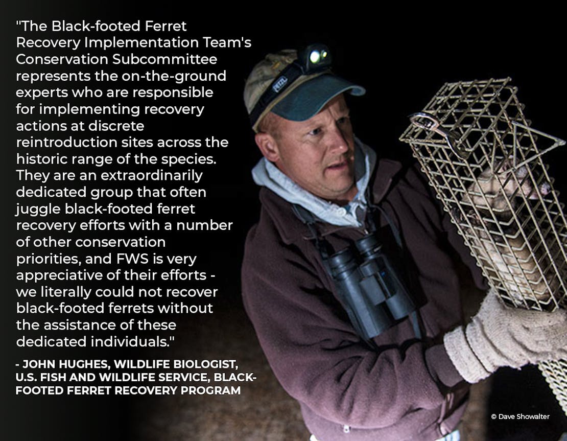 Photo of John Hughes (USFWS) holding a trapped black-footed ferret overlaid with a quote from him.