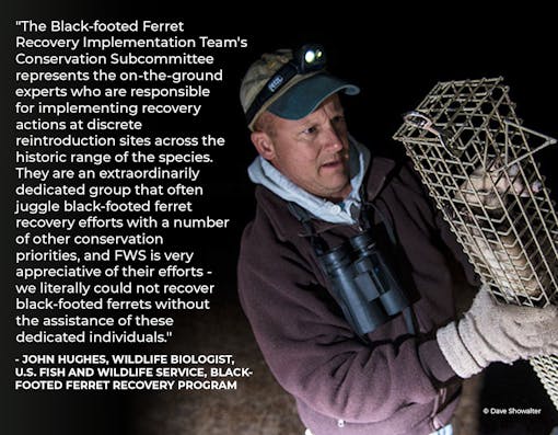 Photo of John Hughes (USFWS) holding a trapped black-footed ferret overlaid with a quote from him. 