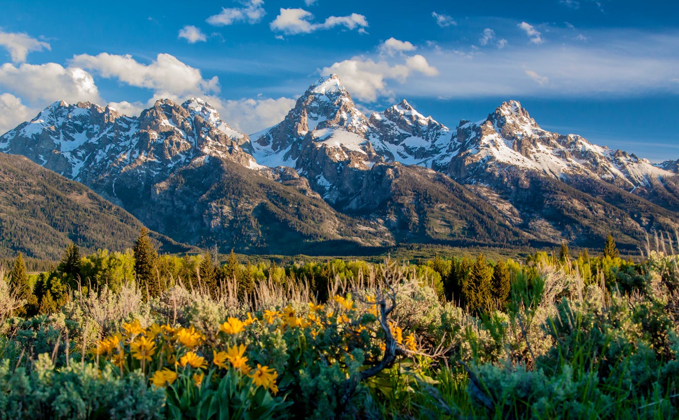 2016.08.29 - Spring Mountains - Grand Teton National Park - Wyoming - Pamela Hartman
