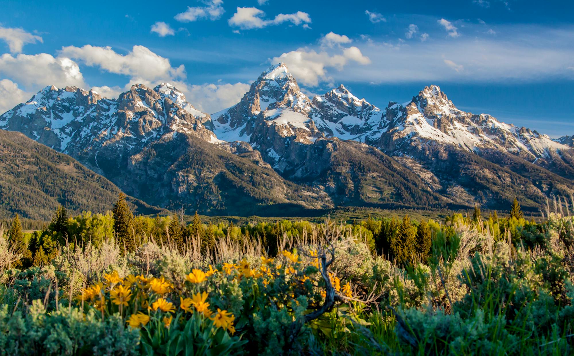 2016.08.29 - Spring Mountains - Grand Teton National Park - Wyoming - Pamela Hartman