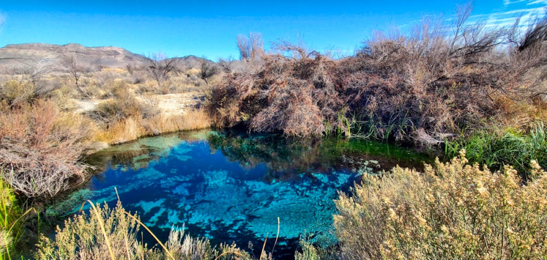 Crystal Springs blue water surrounded by landscape including brown-yellow grasses and brown shrubs. There are smooth-looking short mountains in the distance.