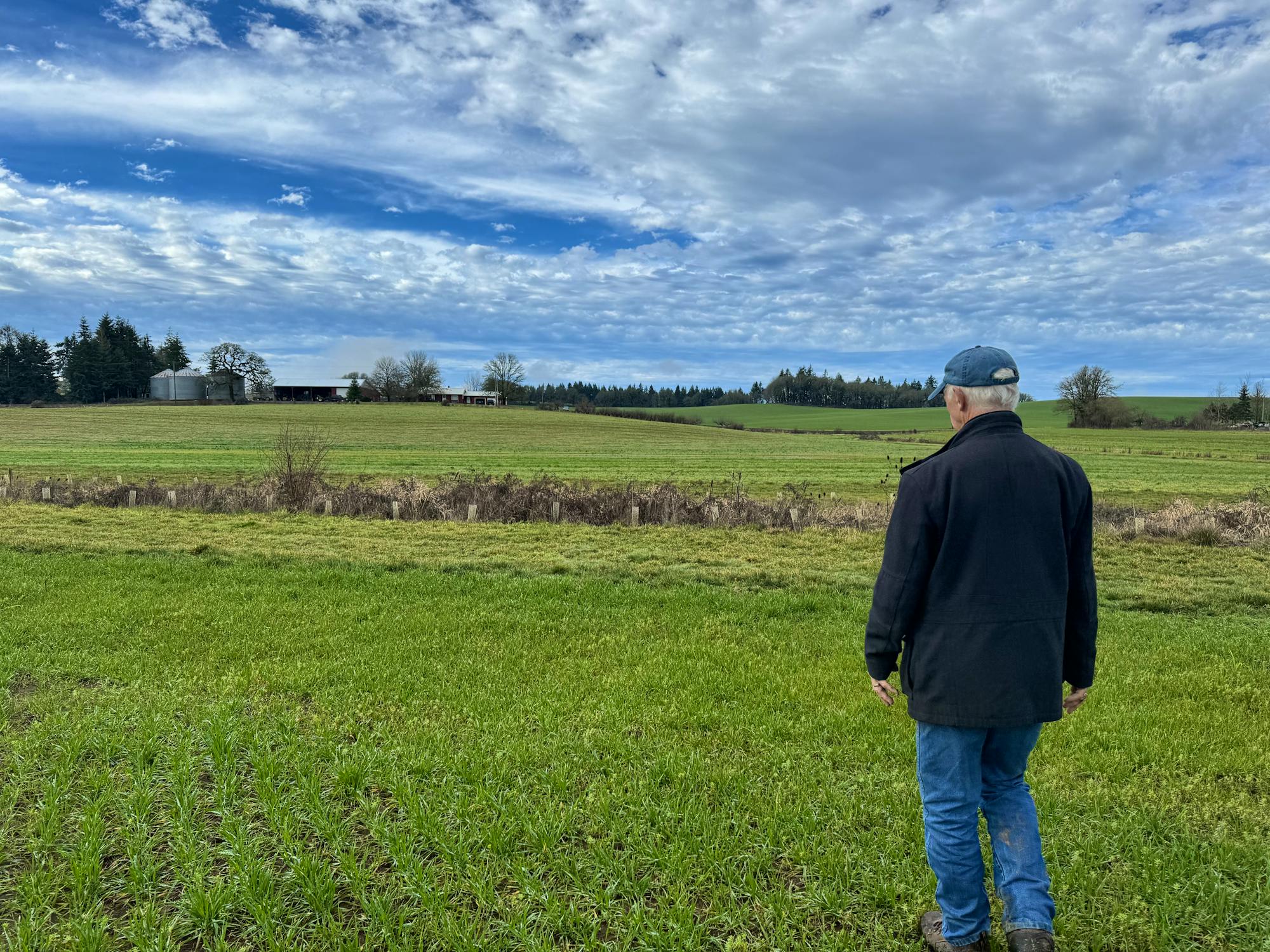 2024.01.11 - Pryor Garnett facing flowering hedgerows on his farm - Oregon - Lucy Lefkowitz/DOW