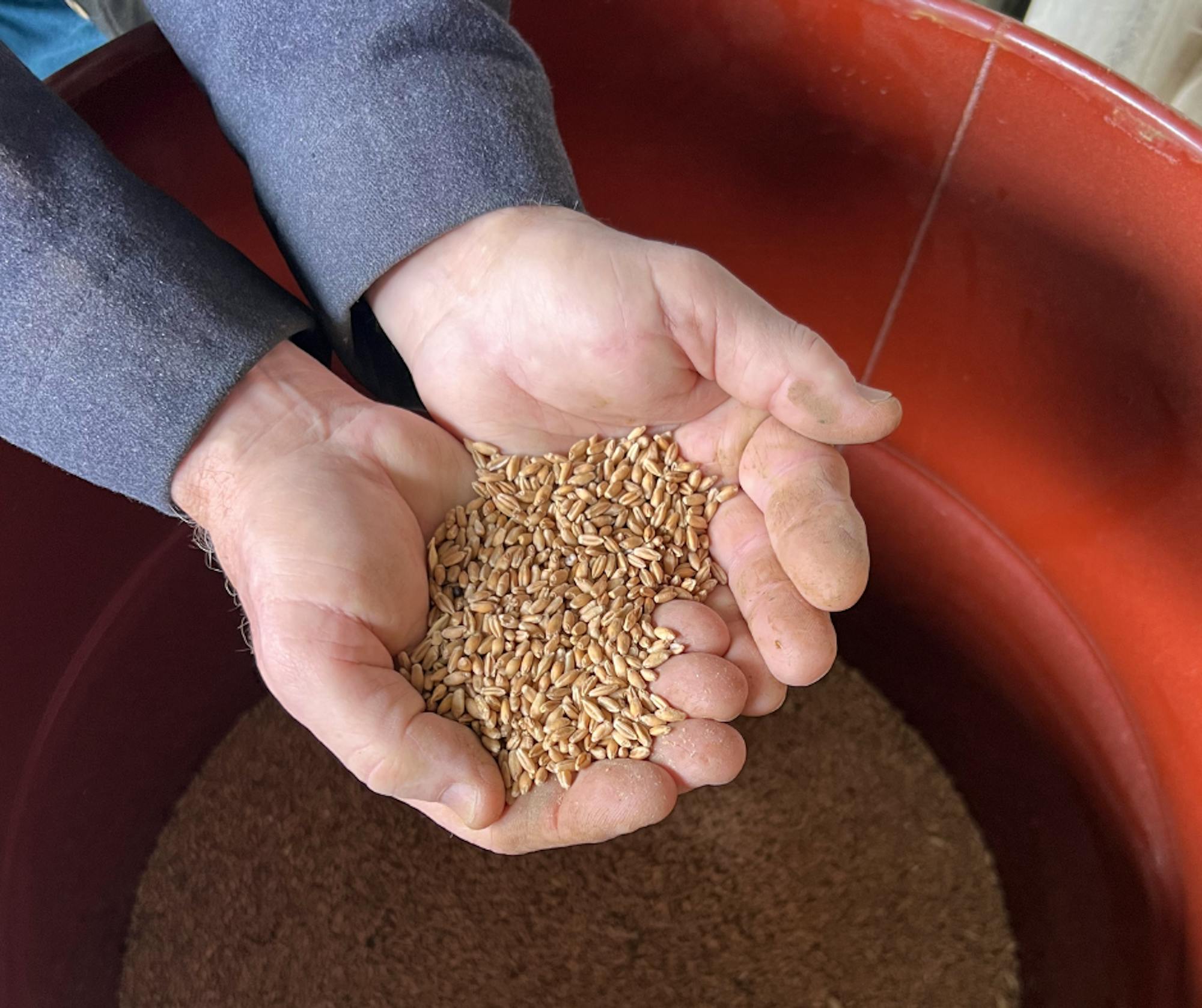 2024.01.29 - Pryor showing grains grown on the property - Oregon - Lucy Lefkowitz/DOW