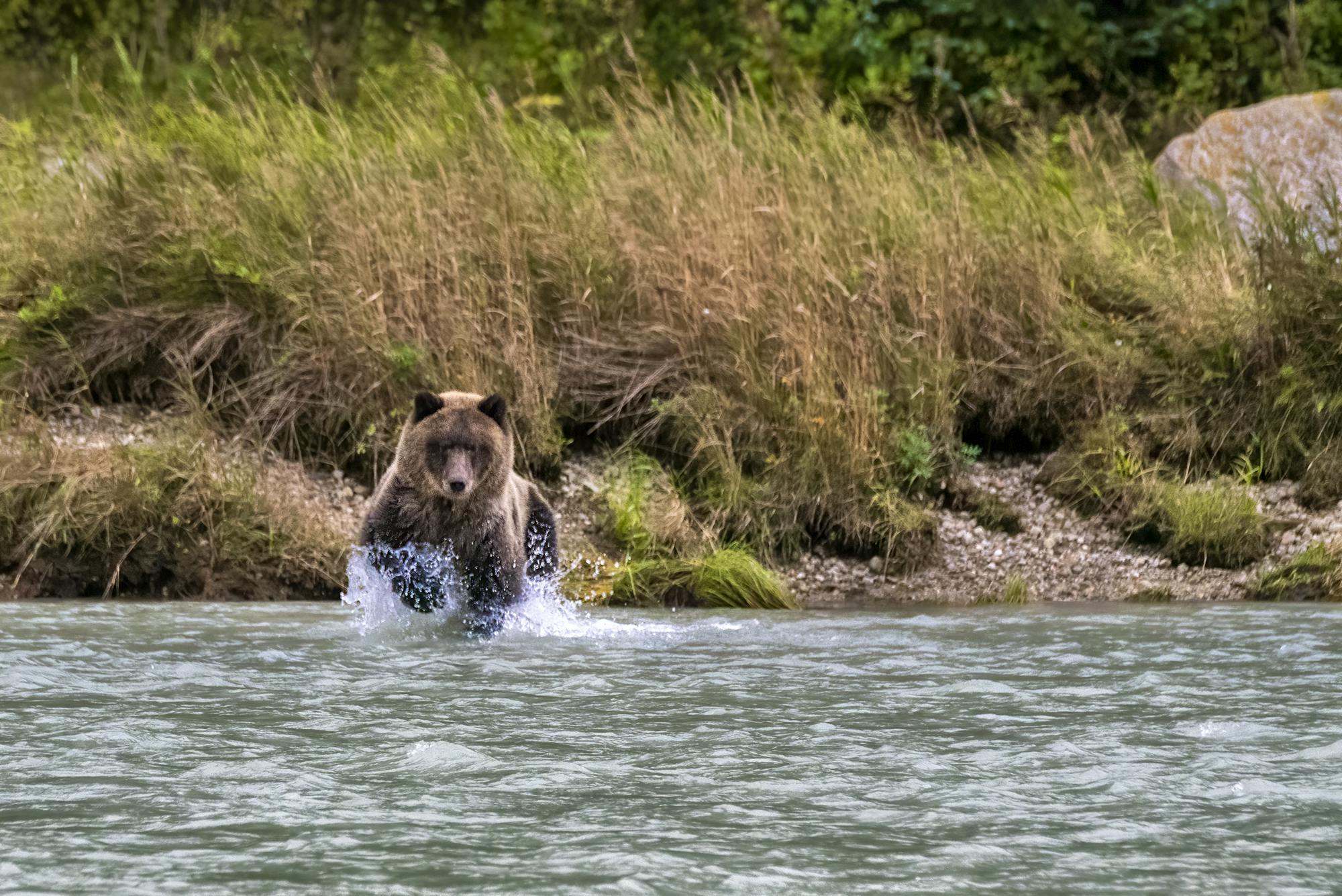 ear Fishing in River - Chilkoot State Park - Alaska - Harvey Hergett-Forest Service.jpg