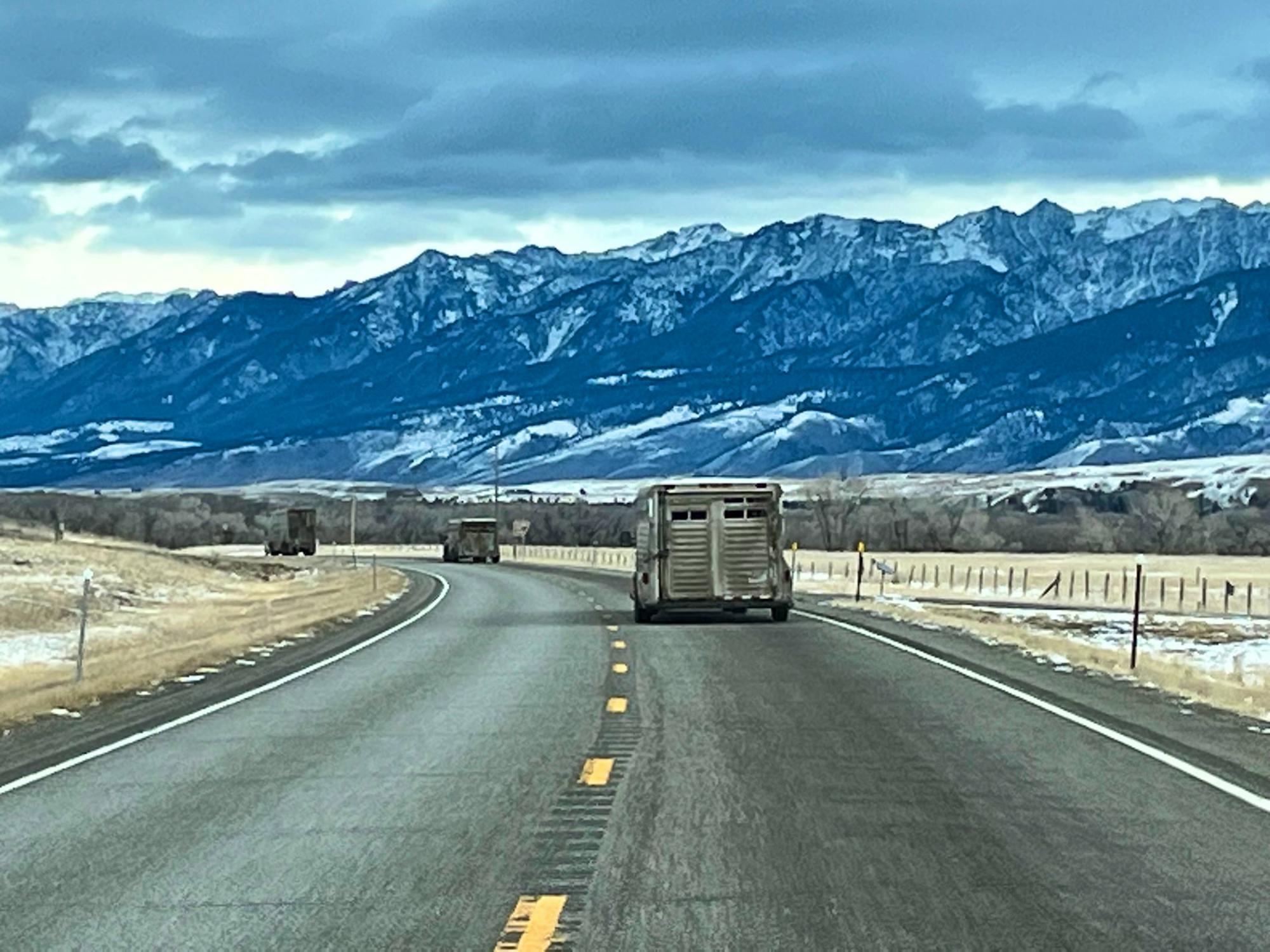 2024.03.01 - Semi-truck with Bison - Montana - Chamois Andersen/DOW