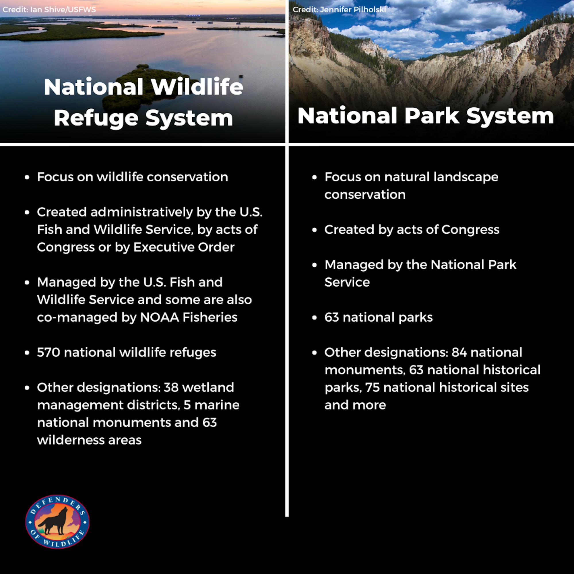 2024.2.21 - NWR and NP Graphic - DOW