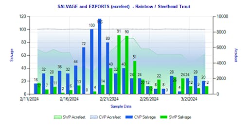 VP and SWP Steelhead “Salvage” in the Delta Since February 11