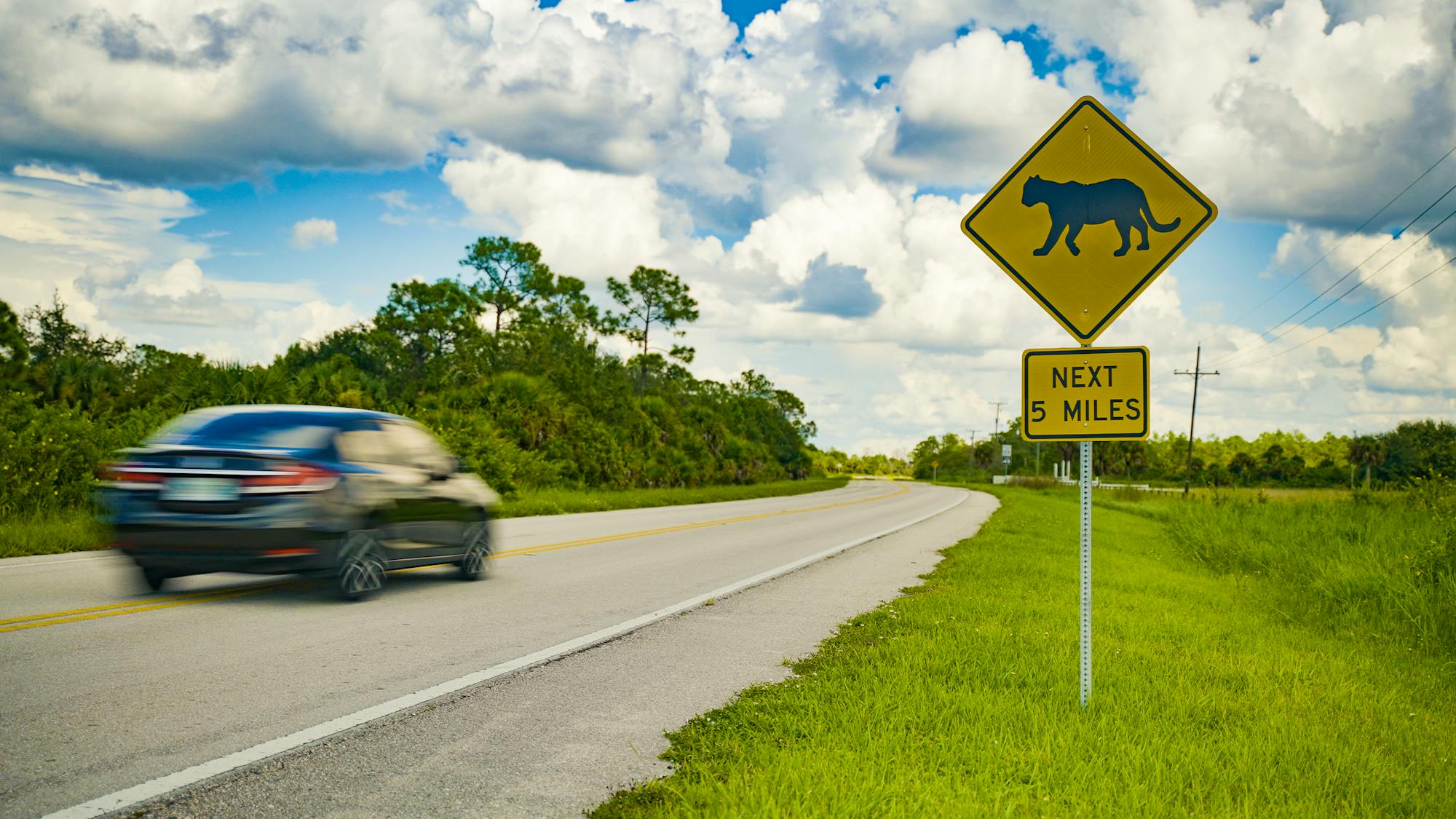 Panther Crossing Sign at Dinner Island Ranch Wildlife Management Area in Florida