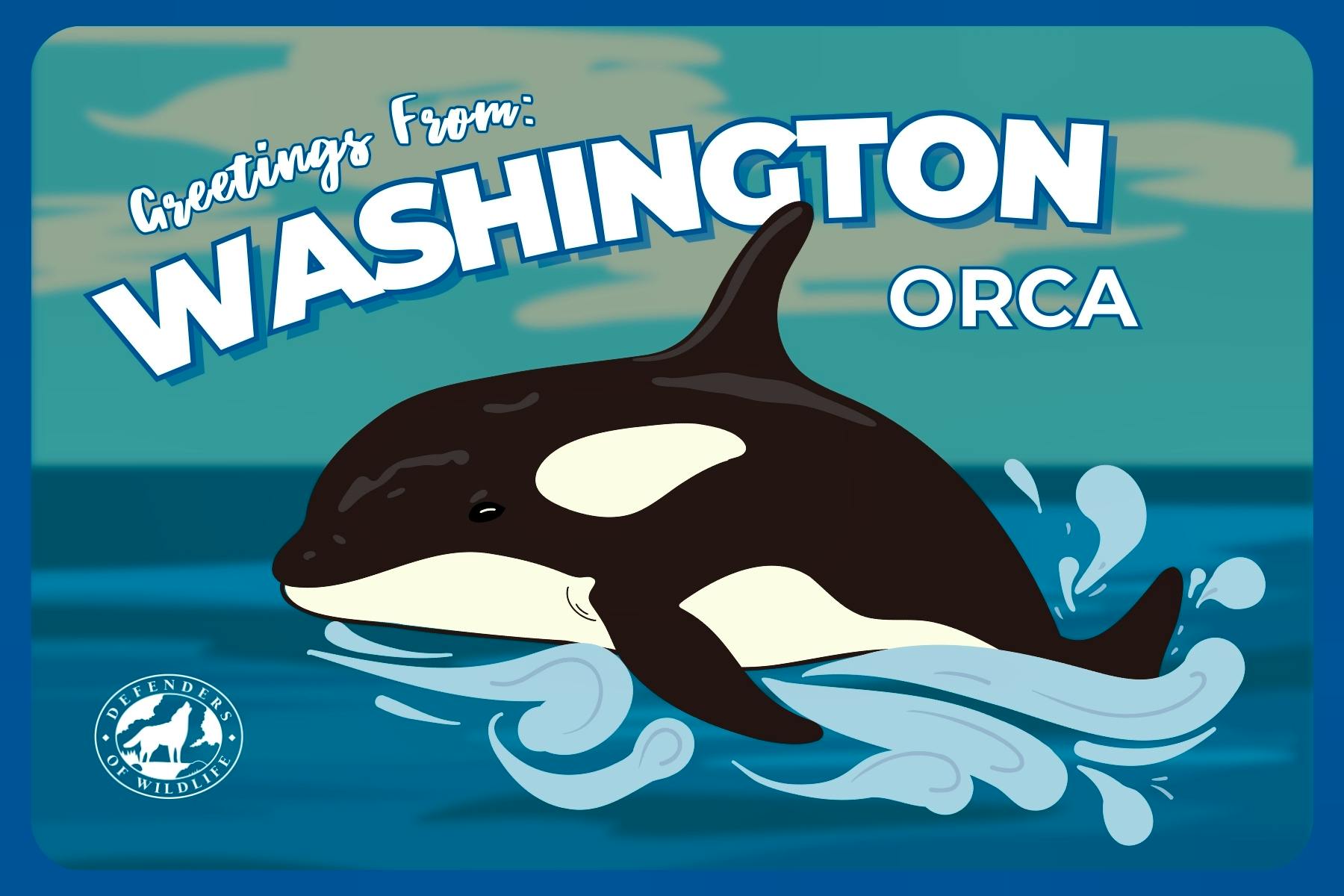 Washinton Orca Postcard - web version