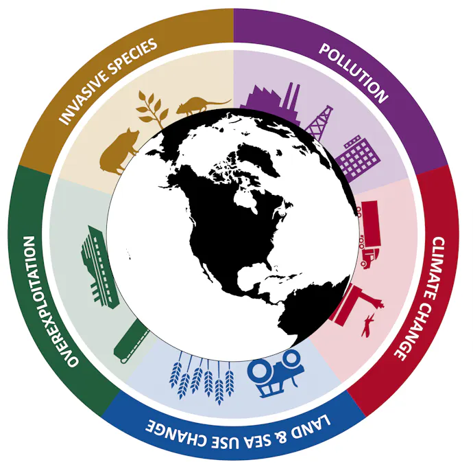 Drivers of Biodiversity Loss: Overexploitation | Defenders of Wildlife