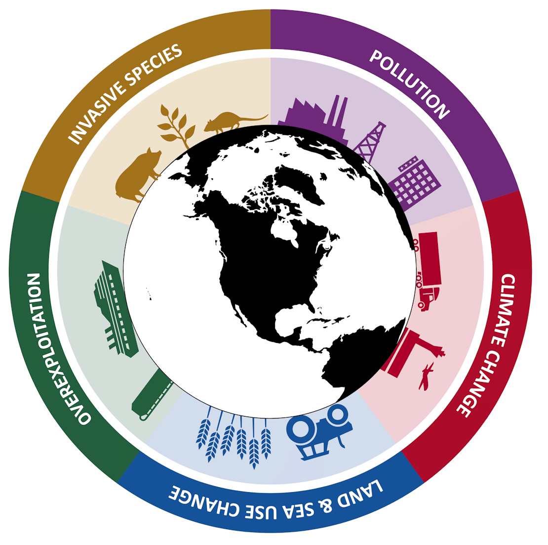 5 drivers of extinction graphic - invasive species, pollution, climate change, overexploitation, land & sea use change