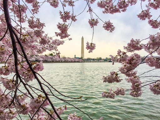 Washington Monument