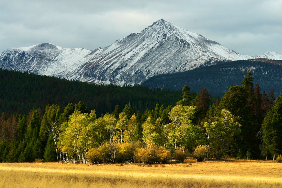 Mount Haggin Wildlife Area Montana