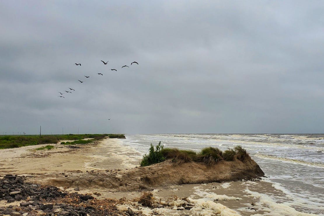 Eroding coastline at Anahuac National Wildlife Refuge on the north Texas coast