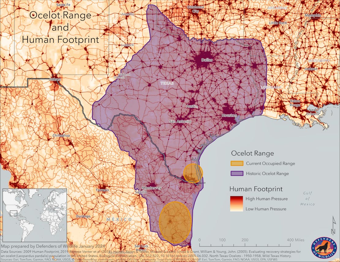 Ocelot Range and Human Footprint Map