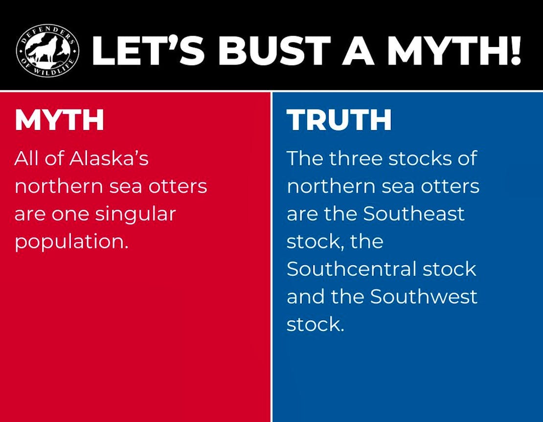 A graphic with "Let's Bust a Myth" heading, a red box with "myth" opposing a blue box with "truth".