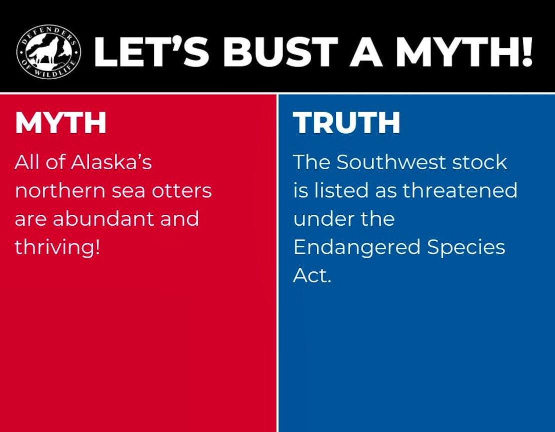 A graphic with "Let's Bust a Myth" heading, a red box with "myth" opposing a blue box with "truth".