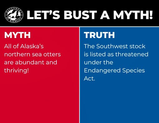 A graphic with "Let's Bust a Myth" heading, a red box with "myth" opposing a blue box with "truth".