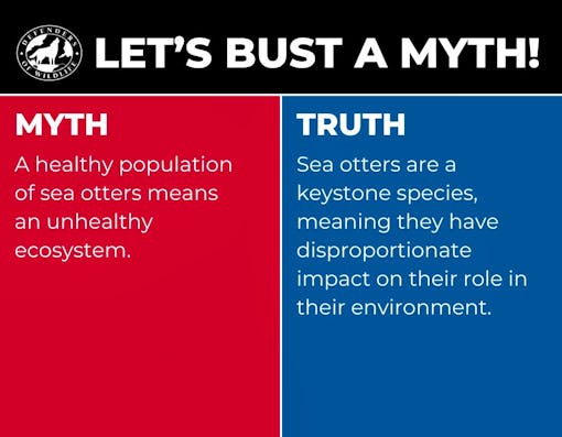 A graphic with "Let's Bust a Myth" heading, a red box with "myth" opposing a blue box with "truth".