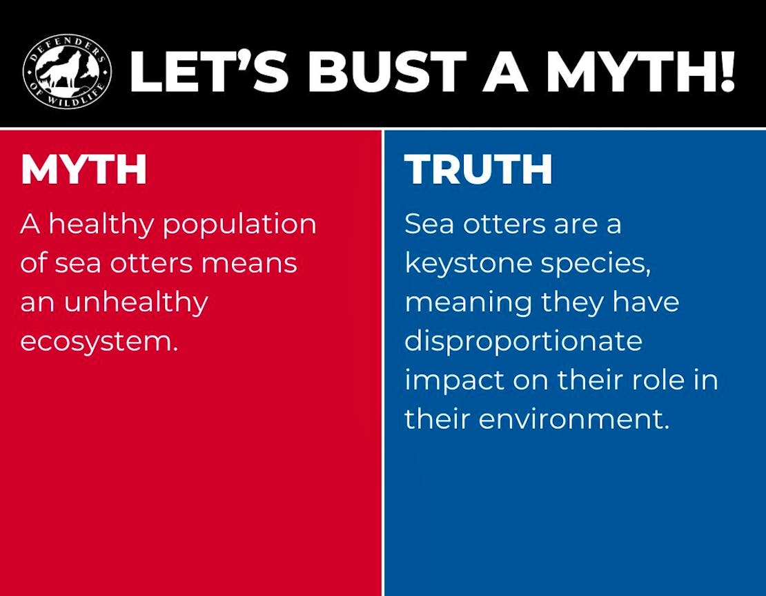 A graphic with "Let's Bust a Myth" heading, a red box with "myth" opposing a blue box with "truth".