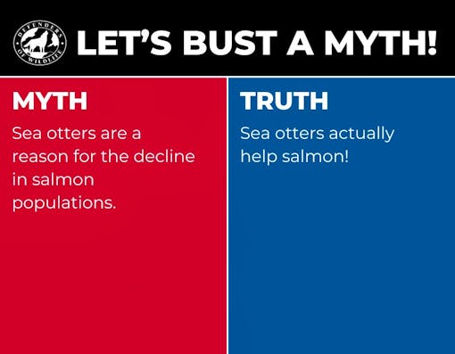 A graphic with "Let's Bust a Myth" heading, a red box with "myth" opposing a blue box with "truth".