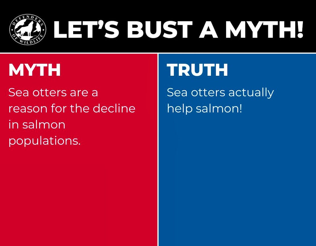 A graphic with "Let's Bust a Myth" heading, a red box with "myth" opposing a blue box with "truth".