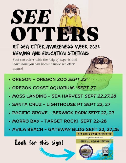 Sea Otter Awareness Week 2024 Viewing Stations Flyer