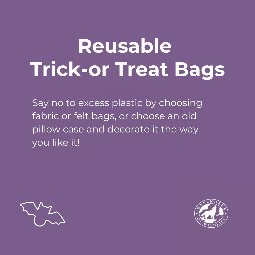 Reusable Trick-or Treat Bags - say no to excess plastic by choosing fabric or felt bags, or choose an old pillow case and decorate it the way you like it! 
