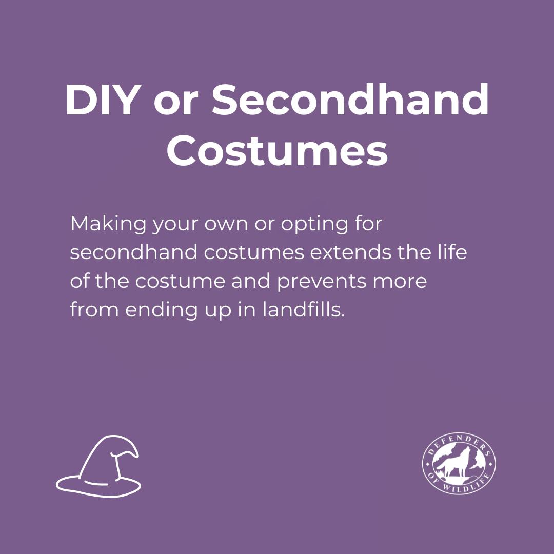 DIY or Secondhand Costumes - Making your own or opting for secondhand costumes extend the life of the costume and prevents more from ending up in landfills.