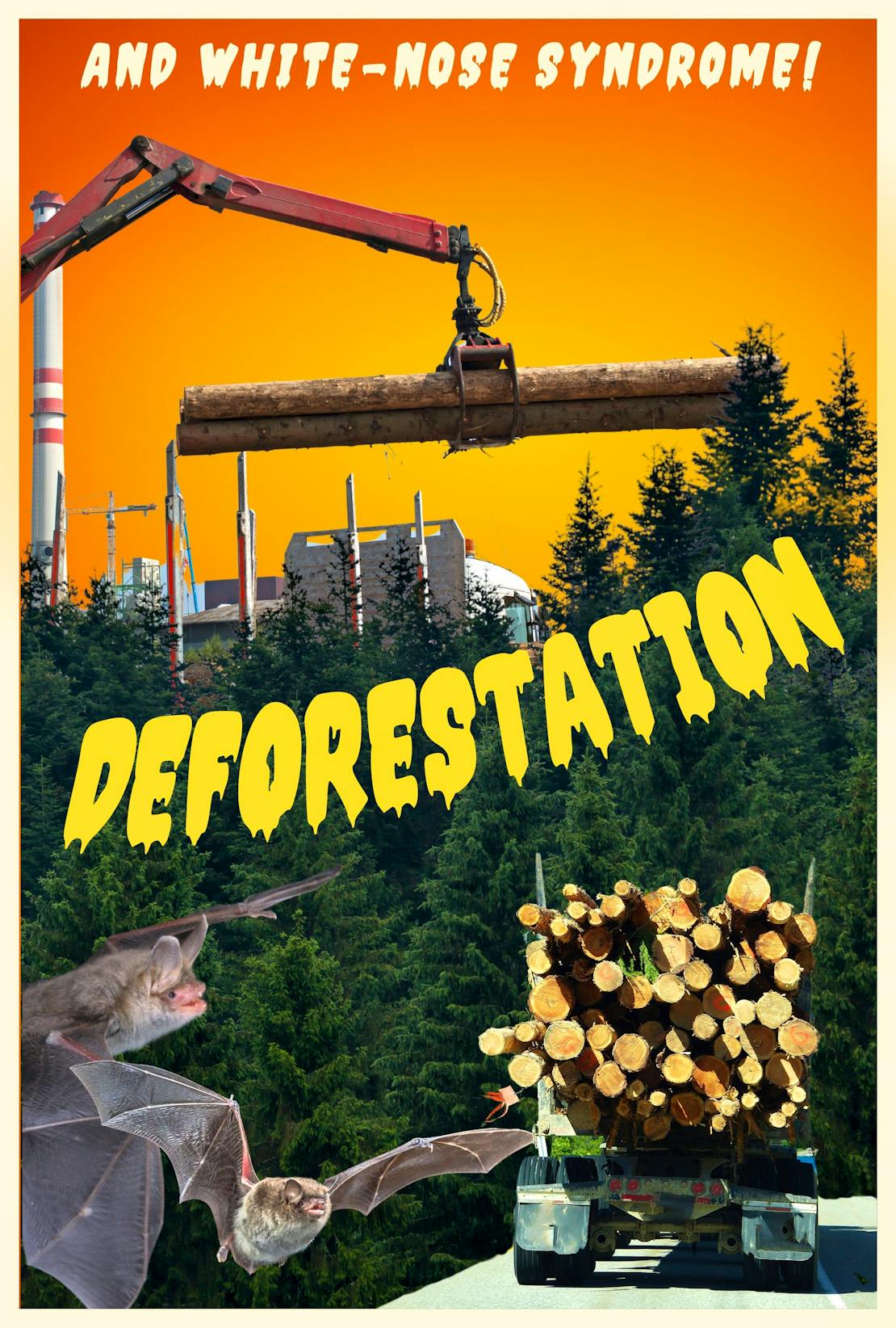 Deforestation Poster - Bats and White-nose syndrome