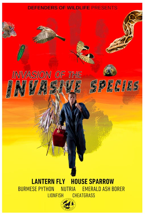 Invasion of the Invasive Species Poster