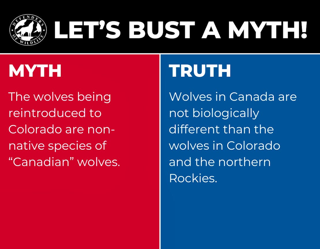 Lets Bust a Myth