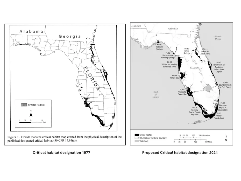 Home and Habitat for Florida Manatees: A 1976 Renovation | Defenders of ...
