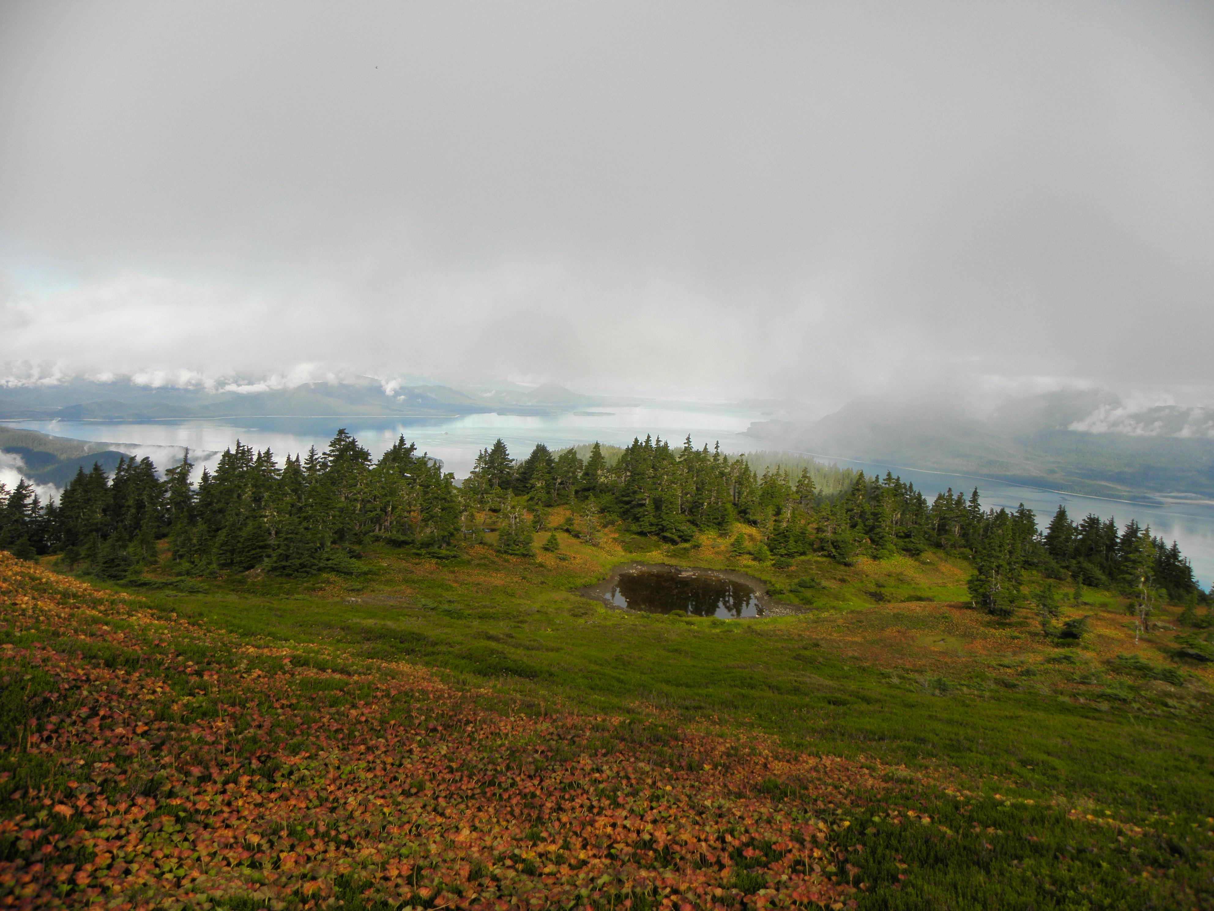 Tongass National Forest