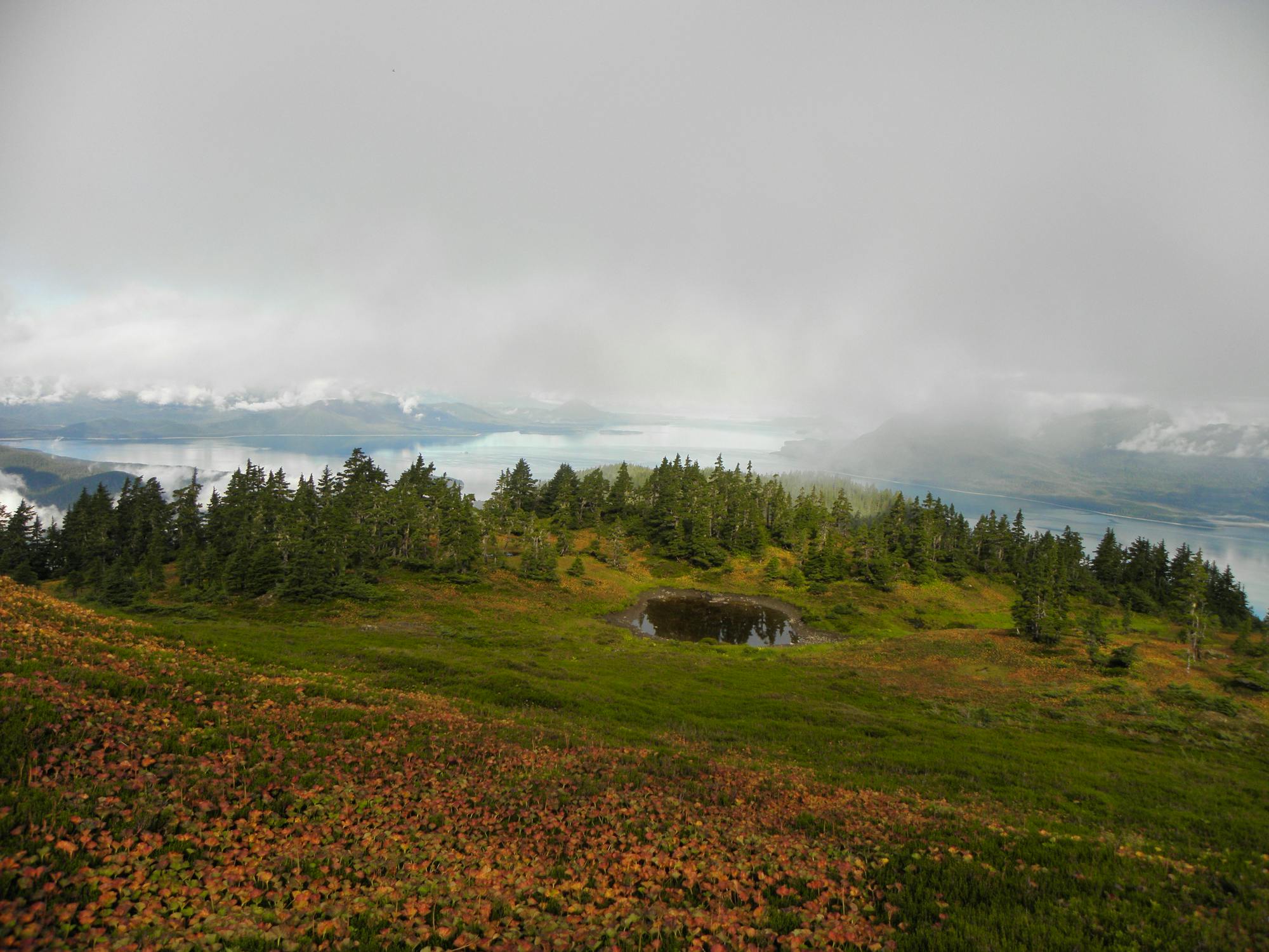 Tongass National Forest