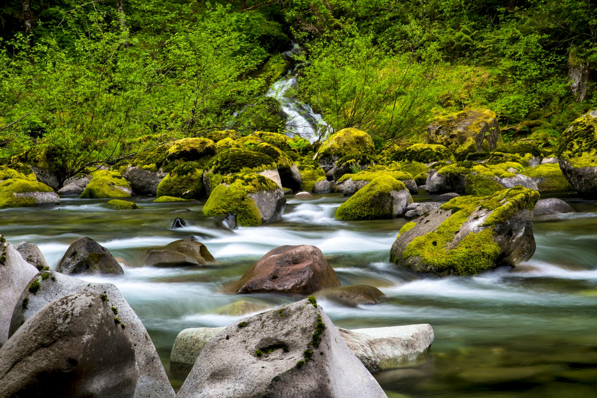 Quartzville Creek Wild and Scenic River