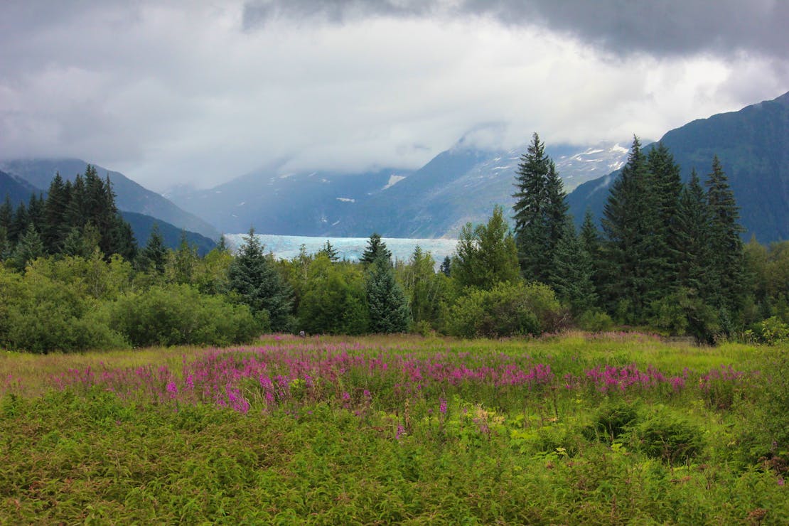 Tongass Glacier